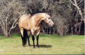 breedingpage.jpg