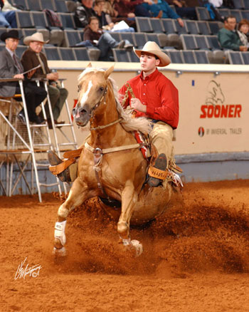 palomino1.jpg